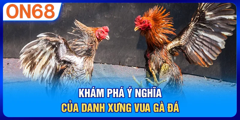 Khám phá ý nghĩa của danh xưng vua gà đá