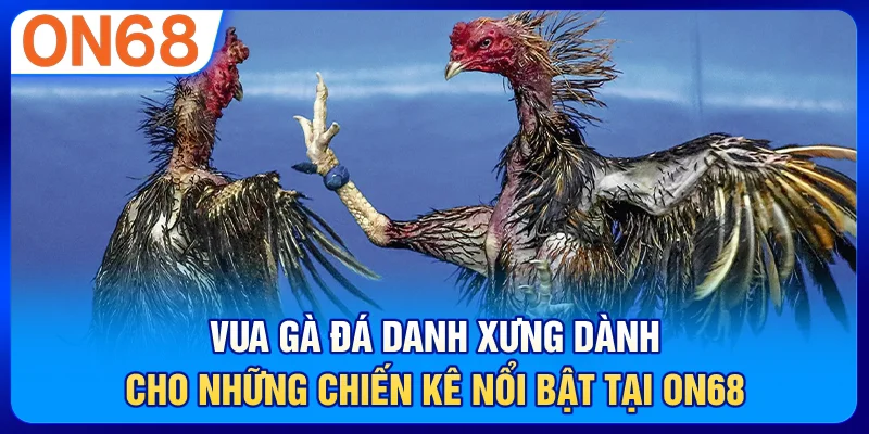 Vua Gà Đá
